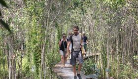 Experience Vietnam’s heritage with visa-prepared tours